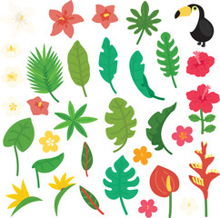 TROPICAL LEAVES and FLOWERS