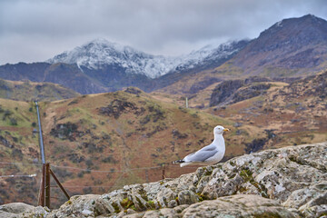 landscape of Snowdonia, Eryri national park in north Wales.