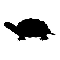 Turtle Silhouette. Turtle Vector Illustration.