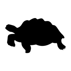 Turtle Silhouette. Turtle Vector Illustration.