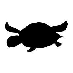 Turtle Silhouette. Turtle Vector Illustration.