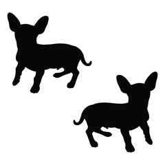 Chiweenie Silhouette, Chiweenie Vector Silhouette, Chiweenie cartoon Silhouette, Chiweenie illustration, Chiweenie icon Silhouette, Chiweenie Silhouette illustration