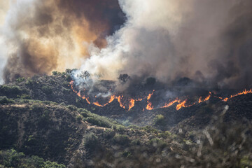 fire and smoke © Zack
