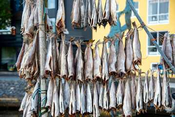 Air-Dried Fermented Fish - Faroe Islands
