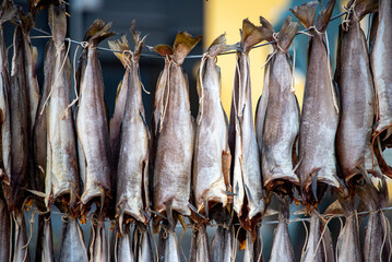 Fototapeta premium Air-Dried Fermented Fish - Faroe Islands