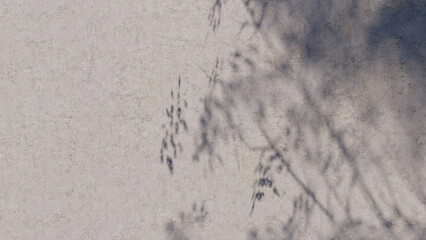 shadow overlay wall texture sunlight leaf shade abstract 3d render. shadows light nature plant leaves branch tree foliage design backdrop. wallpaper mockup background white effect minimal natural.
