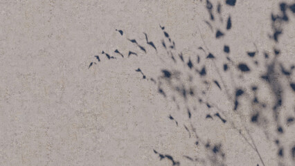 shadow overlay wall texture sunlight leaf shade abstract 3d render. shadows light nature plant leaves branch tree foliage design backdrop. wallpaper mockup background white effect minimal natural.