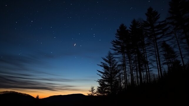 Stars twinkle above silhouette of trees at dusk in tranquil wilderness. Generative AI