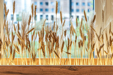 Wheat stalks displayed in a wooden planter by a window, illuminated by natural sunlight. Concept of rustic interior decoration