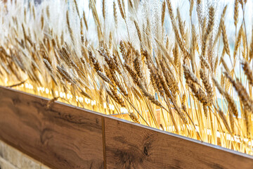 Wheat stalks displayed in a wooden planter by a window, illuminated by natural sunlight. Concept of rustic interior decoration