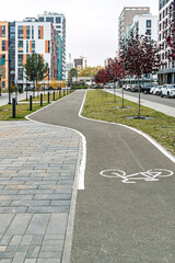 Urban bike path with white bike symbol, surrounded by red-leaved trees and modern buildings, showcasing city infrastructure