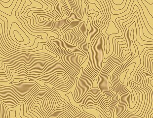 Curvas de nivel, mapa topográfico  © Stockchi