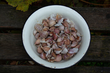 A bowl of garlic cloves stands on old boards