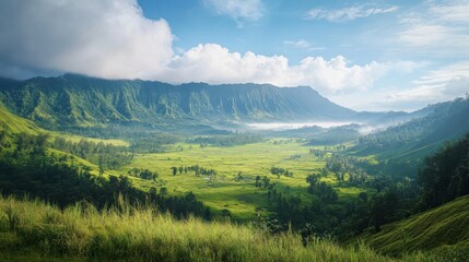 Obraz premium Serene Valley Landscape with Rolling Green Hills and Lush Vegetation