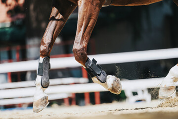 Dynamic capture of a horse's legs galloping on a sandy surface, showcasing the equestrian sport....