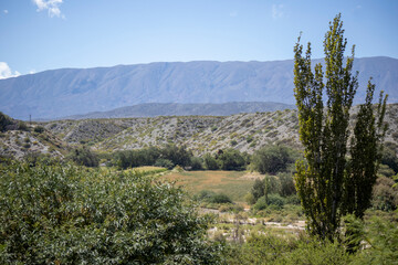 landscape in the mountains