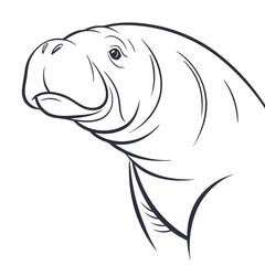 manatee