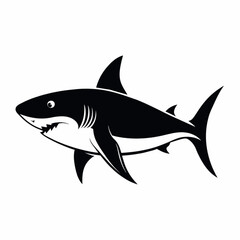 shark illustration