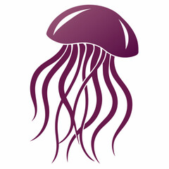 Illustrations of a jellyfish