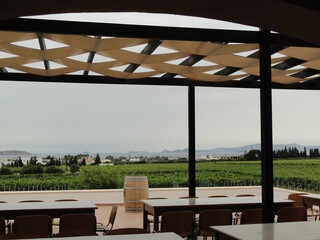 Fototapeta premium Gastwirtschaft und Weinverkostung unter Pavillon mit Blick auf Weinreben und Mittelmeer