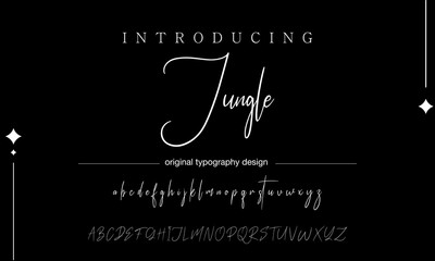 signature Font Calligraphy Logotype Script Brush Font Type Font lettering handwritten