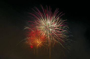 Colorful fireworks bursting into radiant patterns in the night sky.