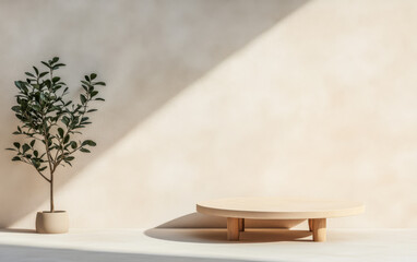 Minimalist interior design showcasing a plant and a wooden platform in soft natural light