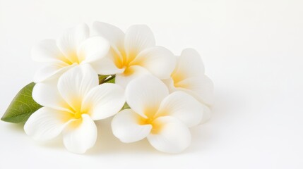 Fototapeta premium A cluster of delicate white flowers with yellow accents, resting gracefully against a soft, neutral background.