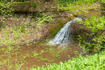 nature park , spring mood, walk through the forest and riverbed with an overview of the area