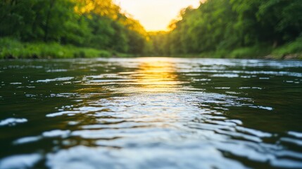 Fototapeta premium Tranquil River Scene at Sunset Surrounded by Lush Greenery