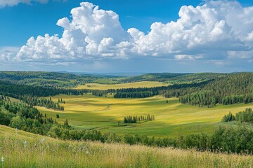 Fototapeta premium A stunning rural panorama unfolds with golden wheat fields stretching endlessly, interwoven with lush green slopes