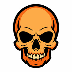 human skull with a skull