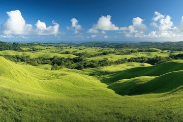 Obraz premium Expansive green field, rolling hills, vibrant grass, blue sky, fluffy white clouds, distant treeline