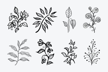 Hand-drawn design floral elements Free Vector