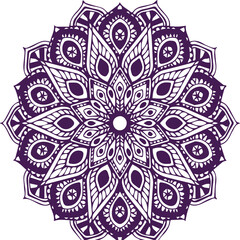 Beautiful flower art and mandala vector design