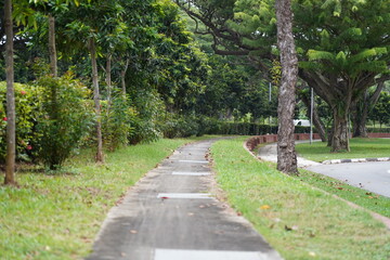 footpath in the park