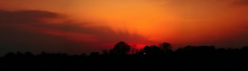 Fototapeta premium Silhouetted trees against a vibrant orange and red sunset. The sun dips below the horizon, casting long shadows. Dramatic sky with fiery hues. Natures beauty at dusk.