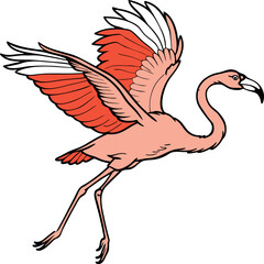 A Flamingo in Flight with Outstretched Wings vector art illustration