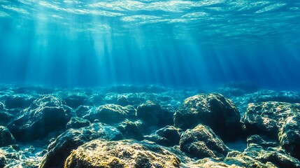 Obraz premium Sunlight Underwater, Ocean Floor Rocks. Concept of marine life, underwater world, and nature.