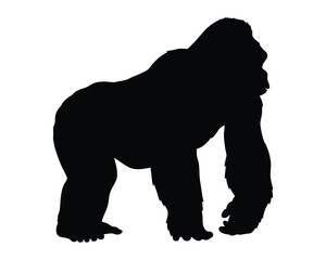 Gorilla animal black silhouette illustration