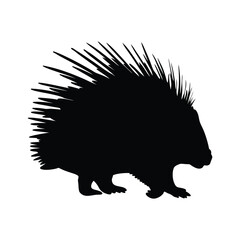Porcupine vector silhouette illustration.eps