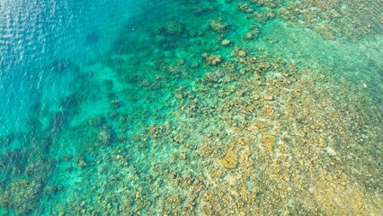 Aerial view of coral reef and turquoise sea water.
