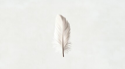 A delicate white feather stands out against a soft, neutral background, symbolizing lightness and purity.