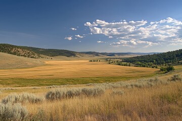 Fototapeta premium Endless fields of wheat shimmer in golden hues under the afternoon sun