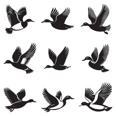 Obraz premium Flying duck set silhouette isolated on white background, Minimal flying duck vector silhouette