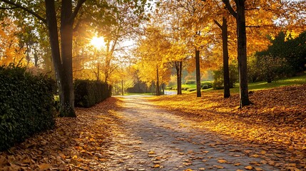 Obraz premium Autumn Path in a park. Concept of fall, nature, and tranquility.
