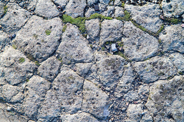 An old cracked stone surface. The texture of a mossy rough stone.