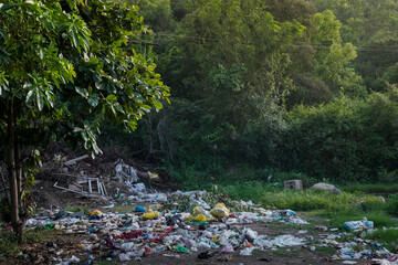 Garbage dump in a forest Greenish forest filled with garbage.
