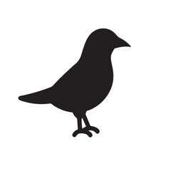 silhouette of a crow vector image