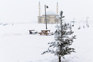 Pine tree covered with snow with bench and mosque background